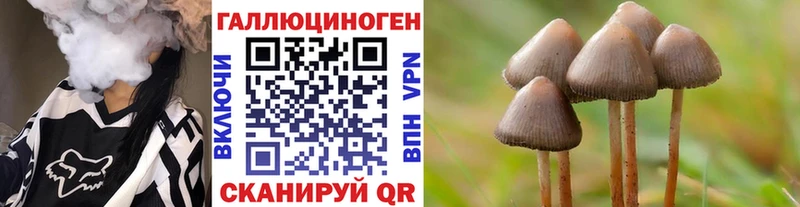 Галлюциногенные грибы Psilocybe где найти наркотики Бодайбо